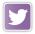 Twitter icon