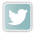 Twitter icon